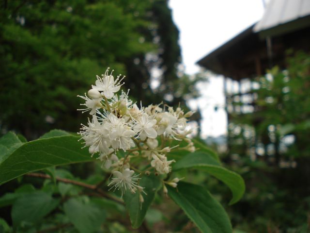 a0061599_6574619.jpg