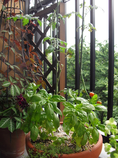 c0227800_77083.jpg