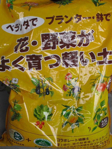 c0227800_881712.jpg