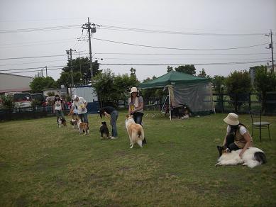 f0081100_21422785.jpg