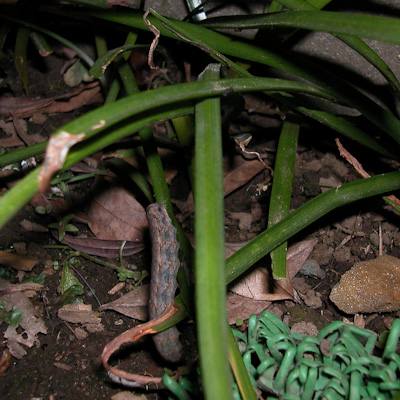 f0239100_10175696.jpg