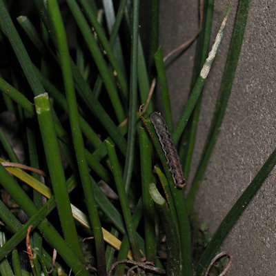 f0239100_10184831.jpg