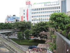 e0033301_2371678.jpg