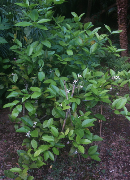 e0089001_2012381.jpg