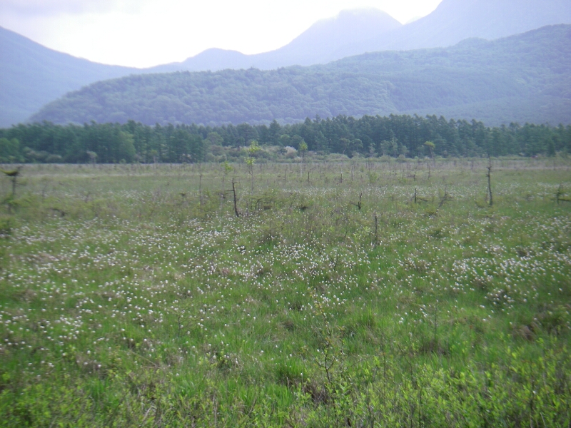 b0172805_432047.jpg