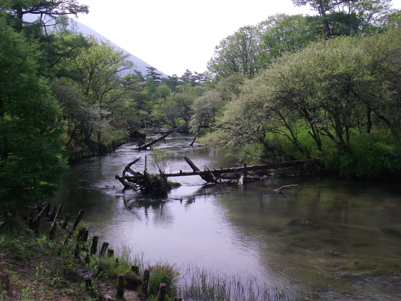 b0172805_434237.jpg