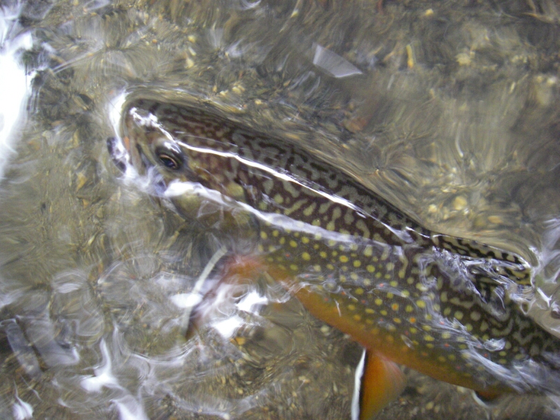 b0172805_4513092.jpg
