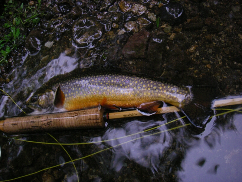 b0172805_4552691.jpg