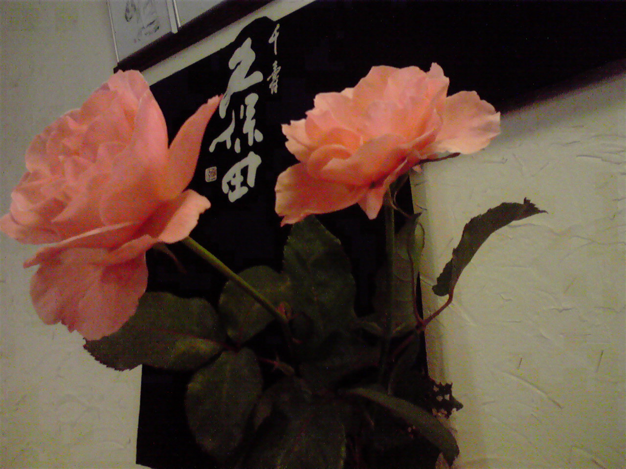 d0141922_12311255.jpg