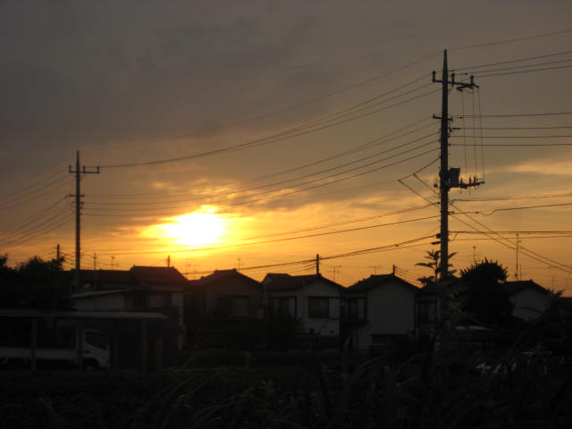 e0166032_198733.jpg