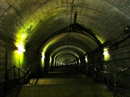 c0101739_22111637.jpg