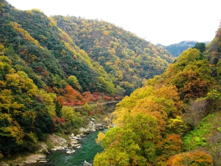 c0101739_22114611.jpg