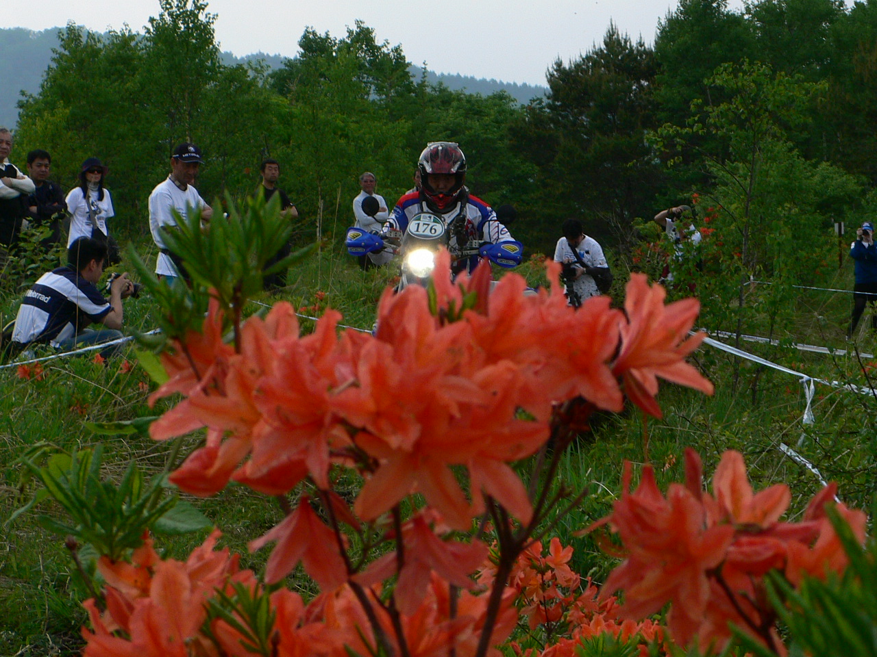 d0129540_183013.jpg