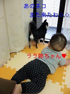 c0121141_21565846.jpg