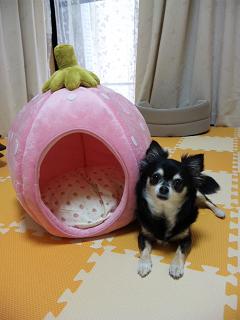 c0121141_22362396.jpg