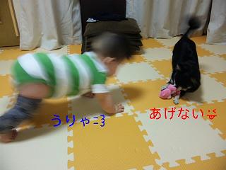 c0121141_2343054.jpg