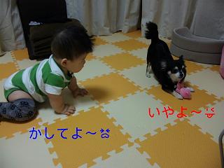 c0121141_23431595.jpg
