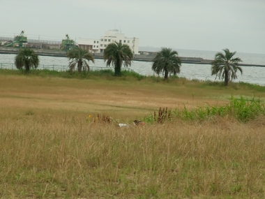 e0126046_12443862.jpg