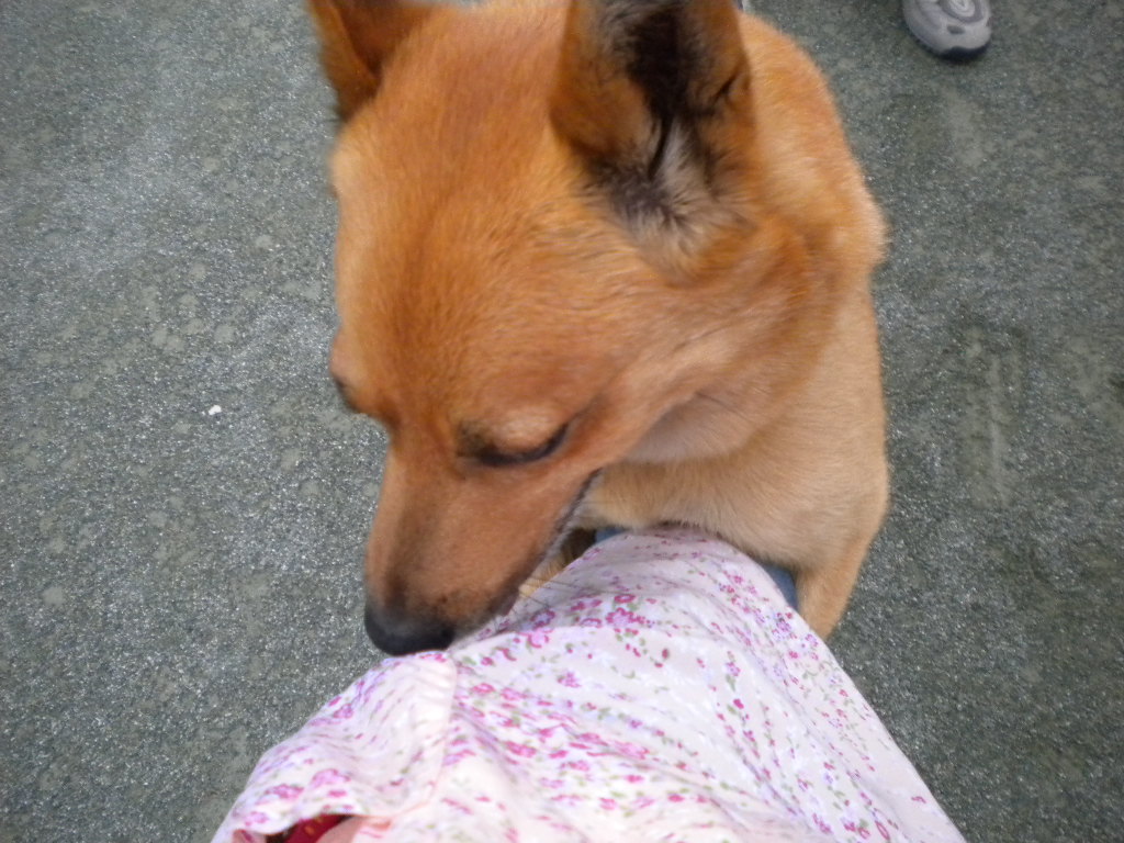 f0235048_21221398.jpg