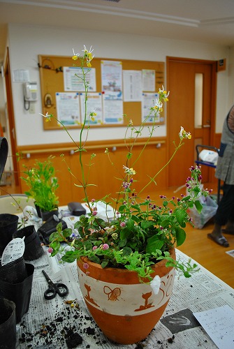 e0159050_175463.jpg