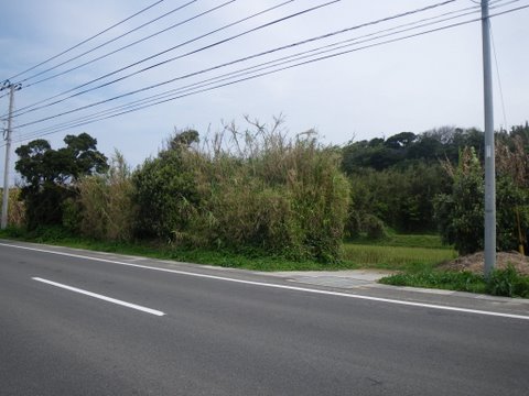 f0046250_016827.jpg
