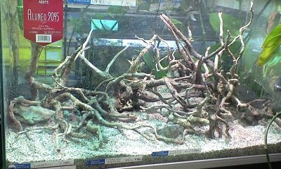 f0198950_2045737.jpg