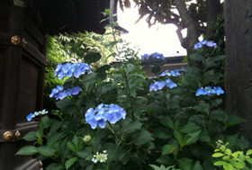 e0098256_20574171.jpg