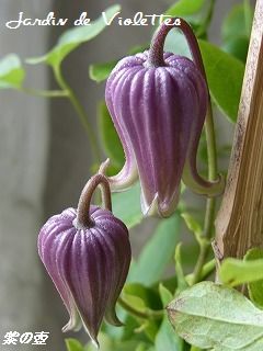 e0118257_16131036.jpg