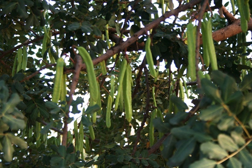 f0232763_0404310.jpg