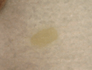 e0142065_11511043.jpg