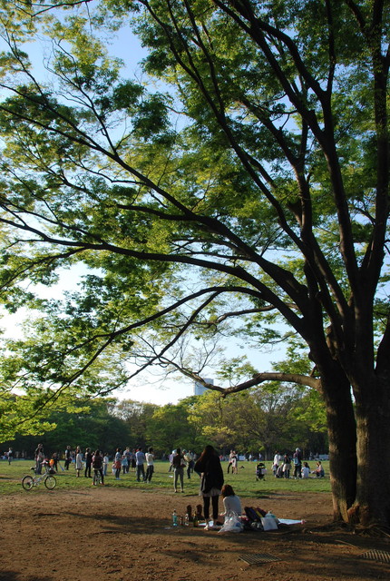 b0174068_23554818.jpg