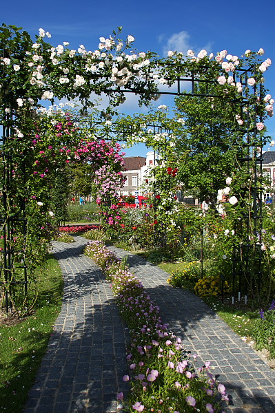 b0170969_21585233.jpg