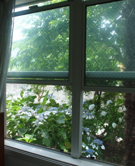 d0163670_11301845.jpg