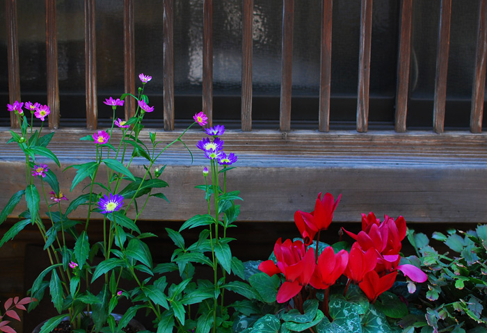 c0009981_1502317.jpg