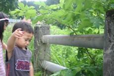 c0057781_1564092.jpg