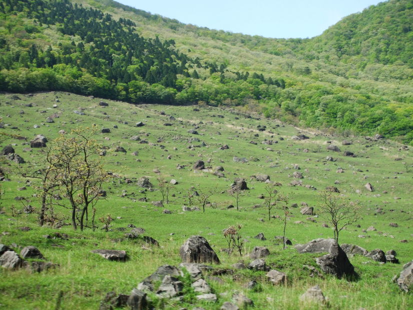 d0151485_21332530.jpg