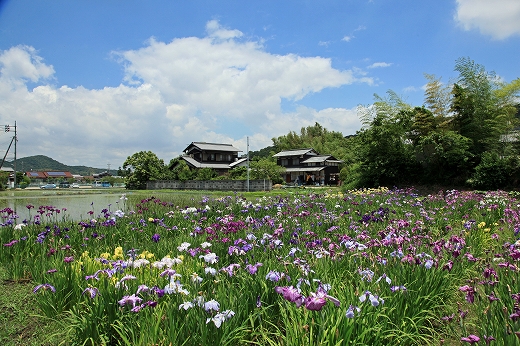 e0190885_2011328.jpg