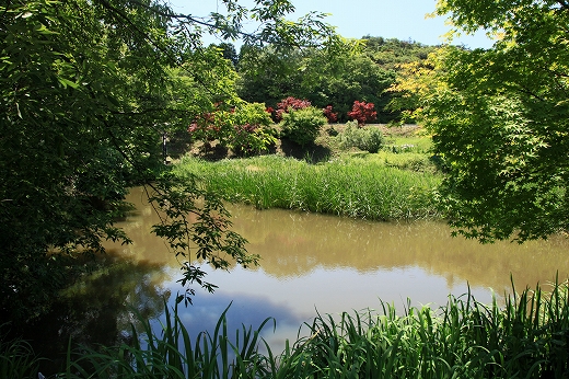 e0190885_20135367.jpg