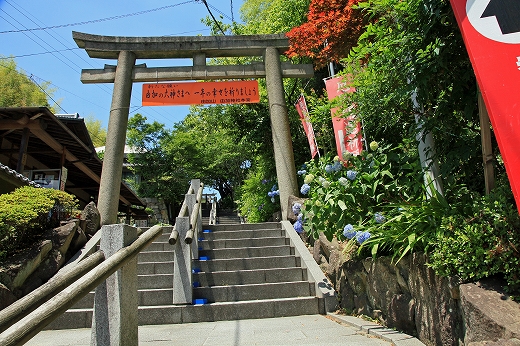 e0190885_2014208.jpg
