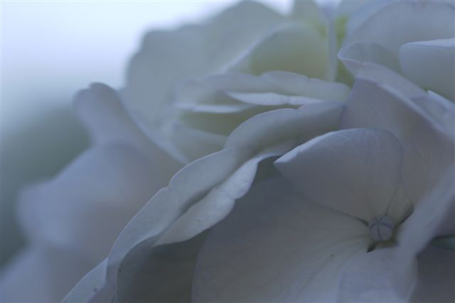 b0175688_1240437.jpg