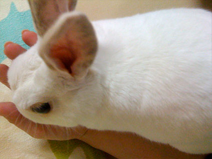 f0201191_2257433.jpg