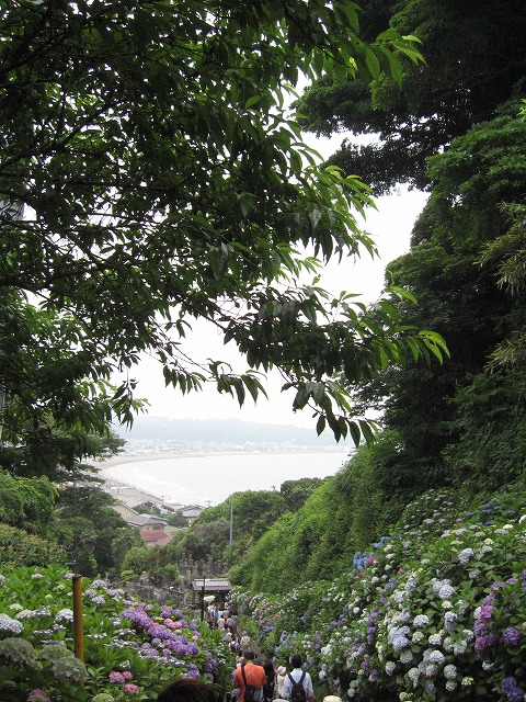 c0087094_17351123.jpg