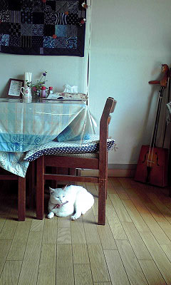 c0206596_212214.jpg