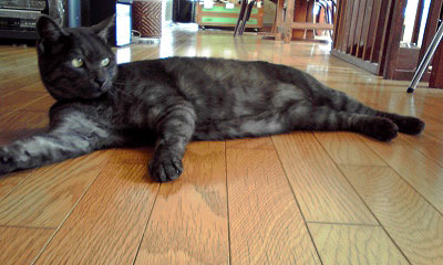 c0206596_21601.jpg
