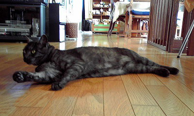 c0206596_2172021.jpg