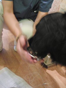 c0050400_1248282.jpg