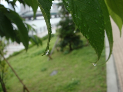 a0167803_23352085.jpg