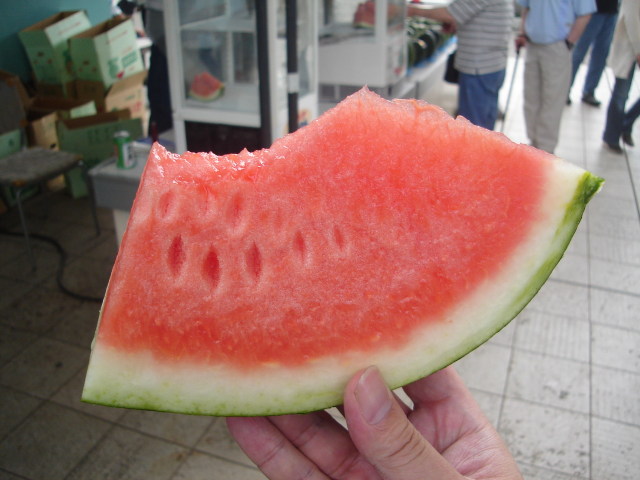 a0116205_2312871.jpg