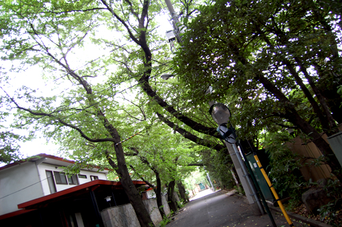 d0015006_2104934.jpg