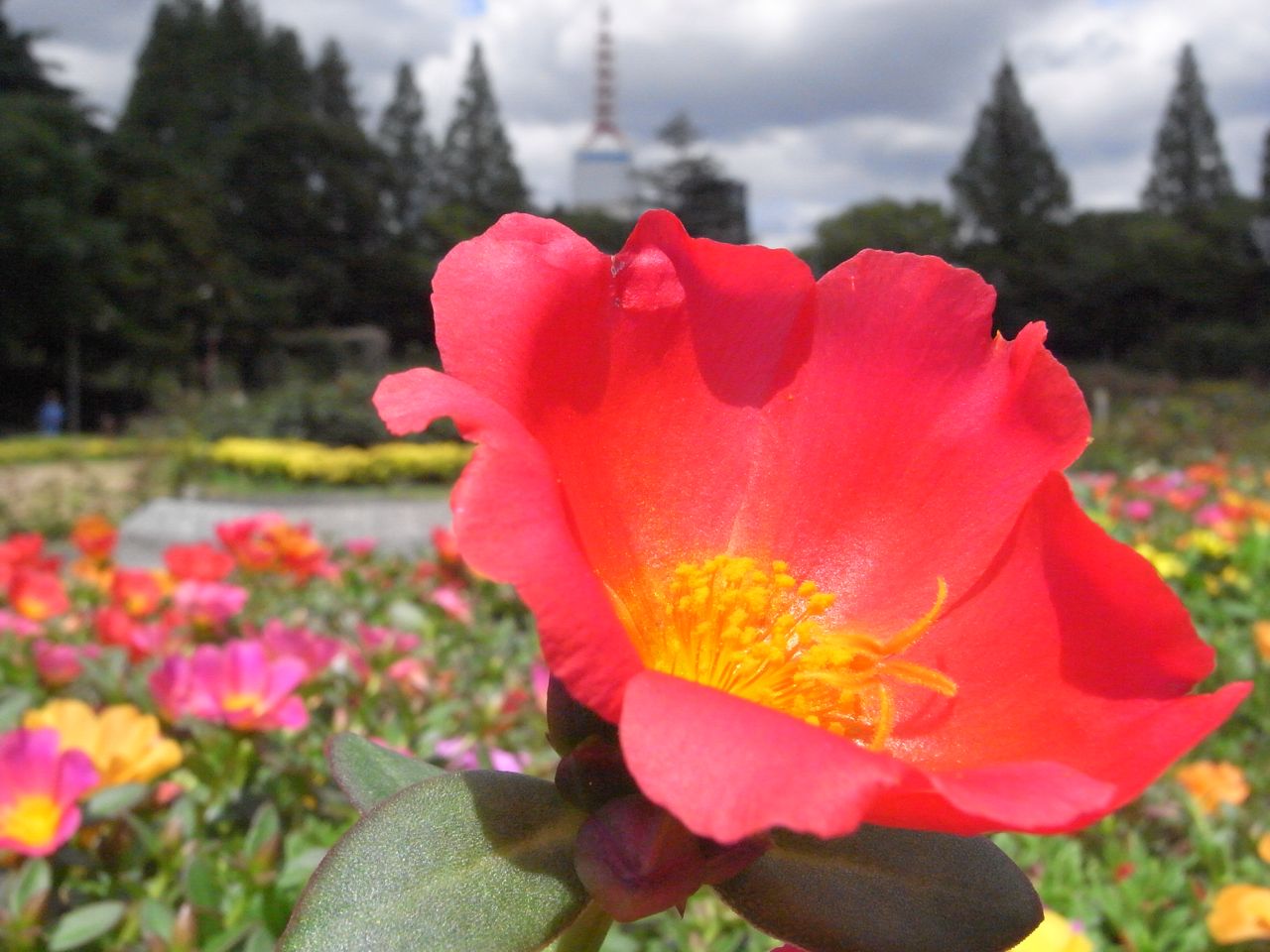 e0129107_1902156.jpg